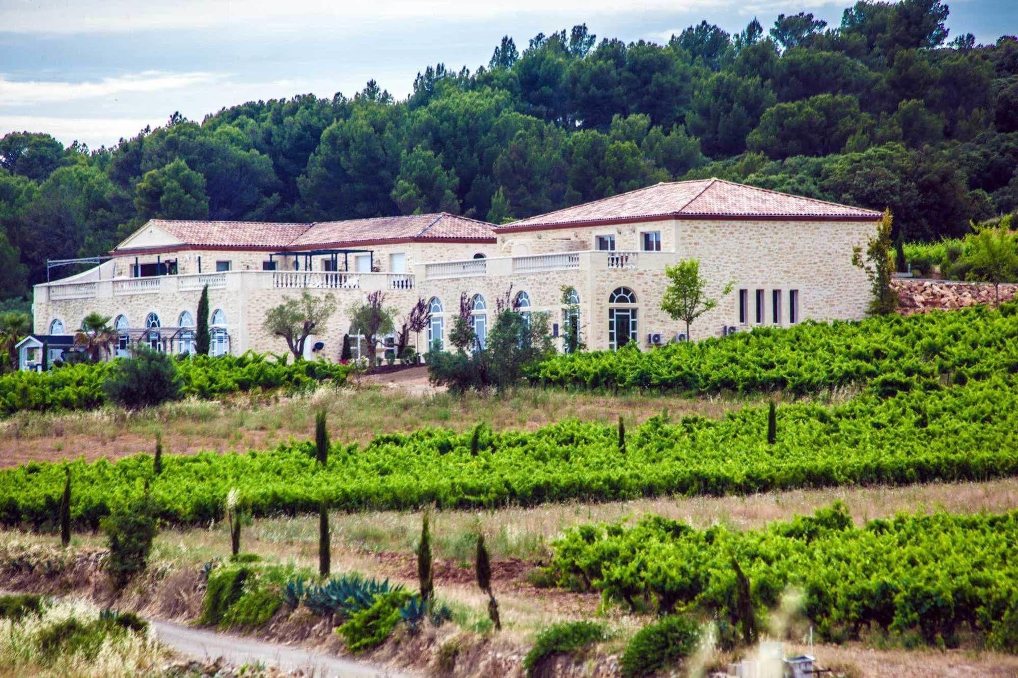 Chateau De Valloubiere Saint-Jean-de-Fos Eksteriør billede